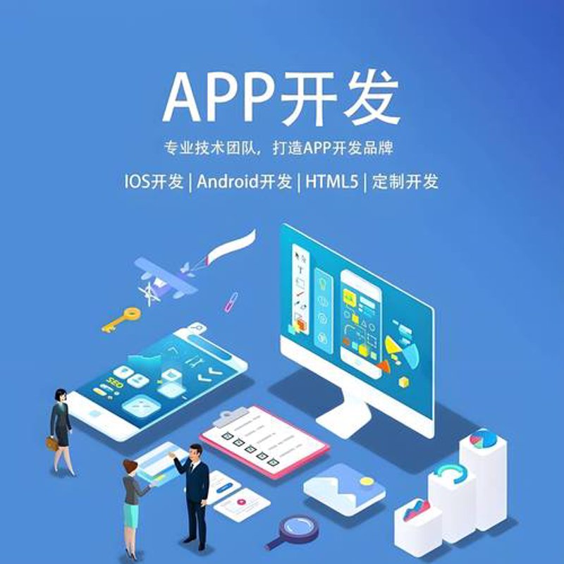 洪湖软件开发