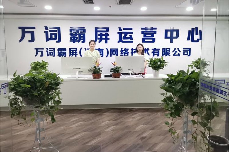 洪湖网站建设引领数字转型新潮流